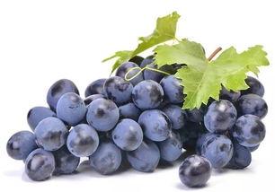 沙溪最新的瓜爆料,揭秘最新瓜爆料背后的故事 第3张 沙溪最新的瓜爆料,揭秘最新瓜爆料背后的故事 第3张